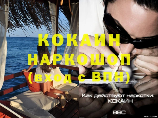 эйфоретик Верея